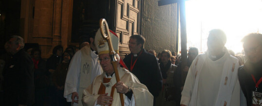 VICARIA III: Peregrinación diocesana a la Catedral (Fotos y Vídeos)