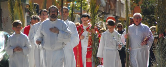 DOMINGO DE RAMOS (Fotos)