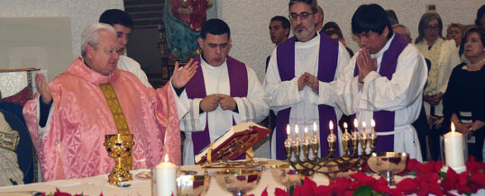 Solemne Eucaristía 40 Aniversario Camino Neocatecumenal  (Fotos y video)