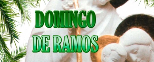 DOMINGO DE RAMOS 2019 (Fotos y vídeo retransmisión)