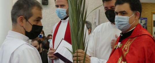 DOMINGO DE RAMOS (Fotos)