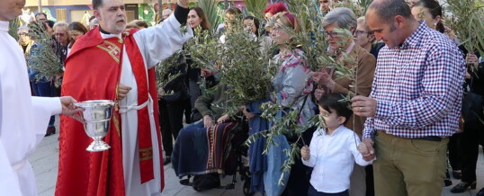 DOMINGO DE RAMOS (Fotos)