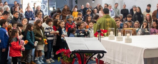 EUCARISTÍA DE LAS FAMILIAS EN EL DOMINGO DE LA PALABRA DE DIOS. Bendición de peluches.