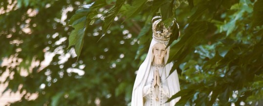 CELEBRACIÓN DE LA FIESTA DE LA VIRGEN DE FÁTIMA (Fotos)